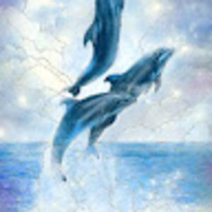 Meet your Posher, Randy